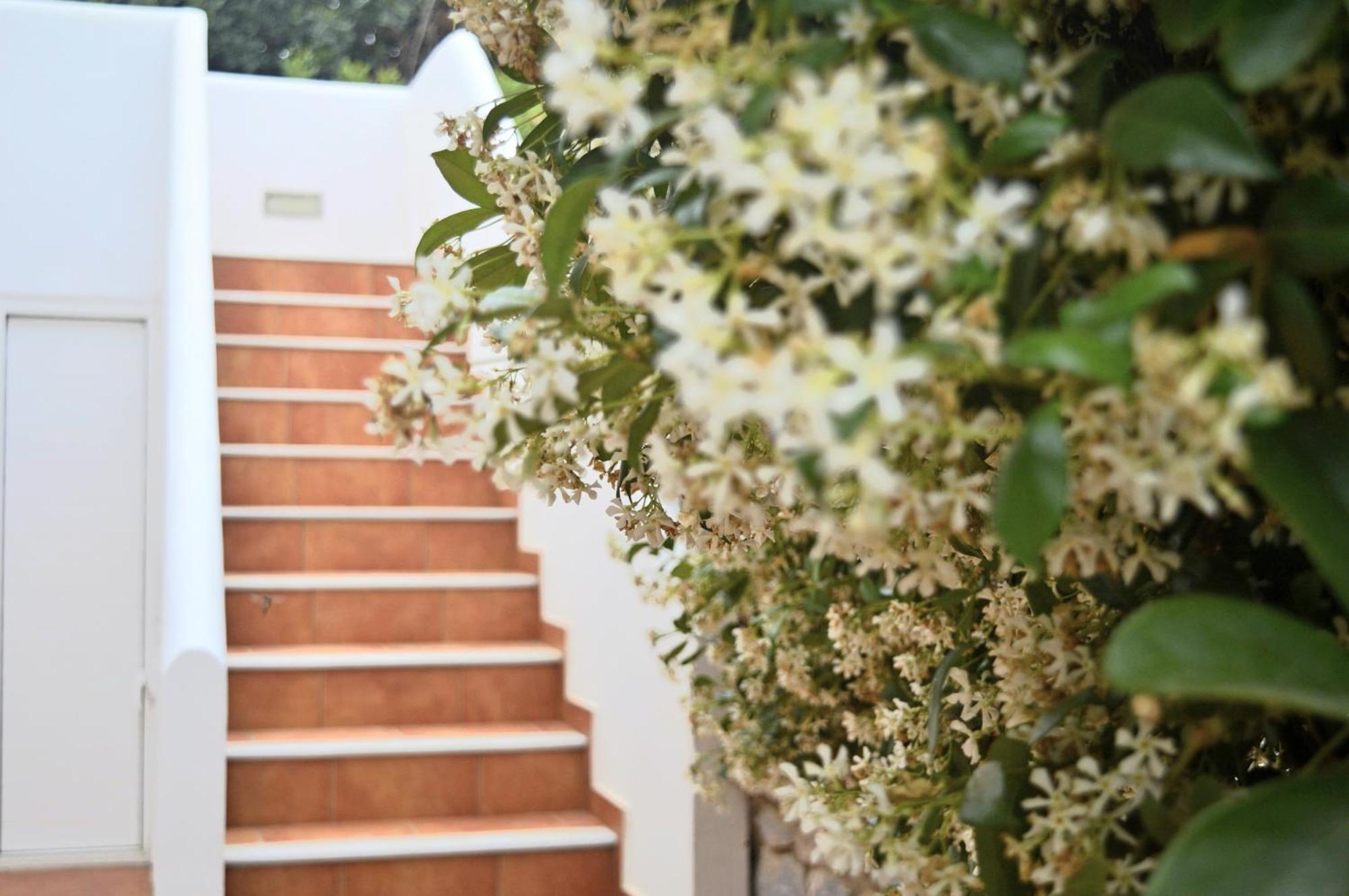 Malvazios Villas #7 ยีธิโอ ภายนอก รูปภาพ